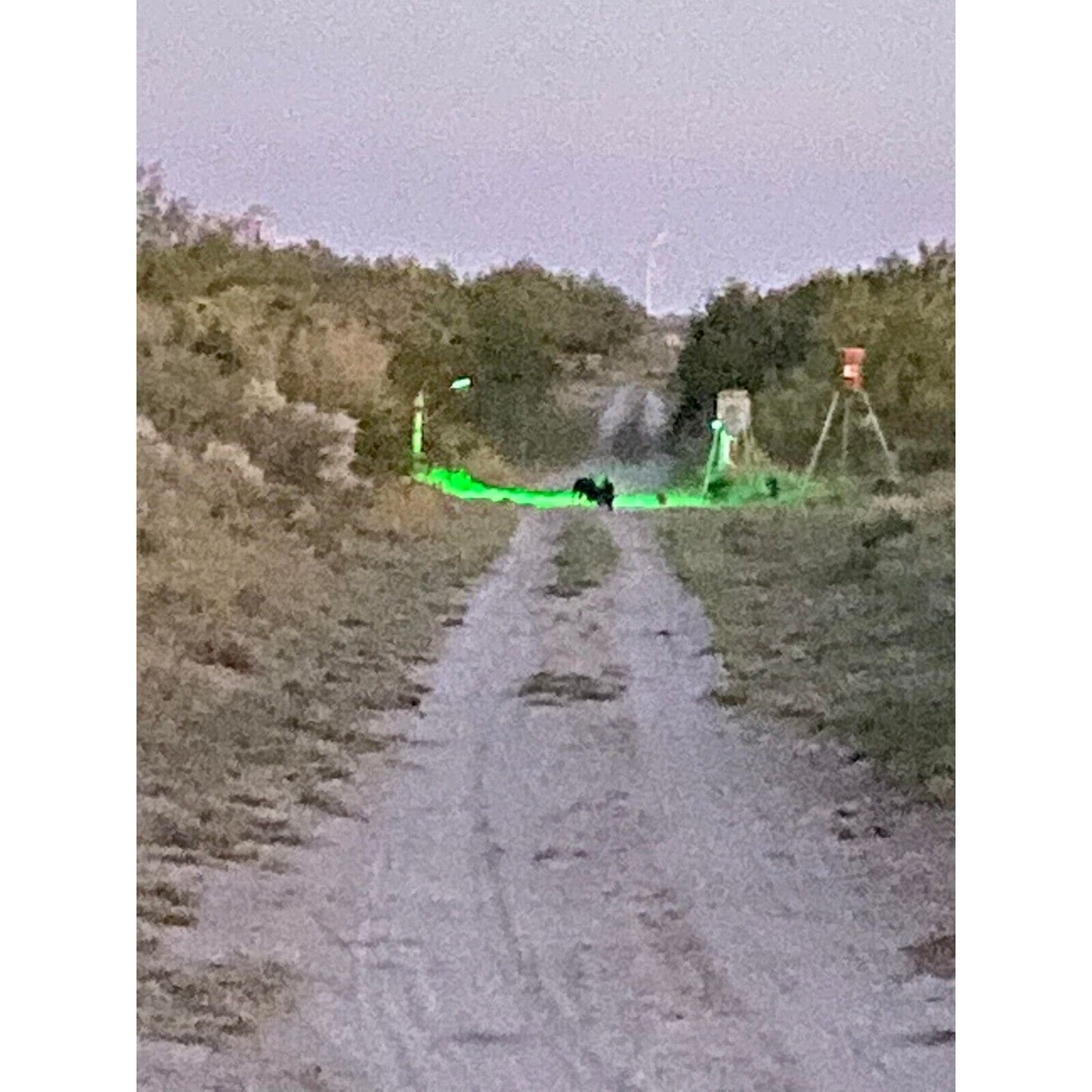 Hog Hunting Light Green Solar Light for Hunting Hogs on Feeders