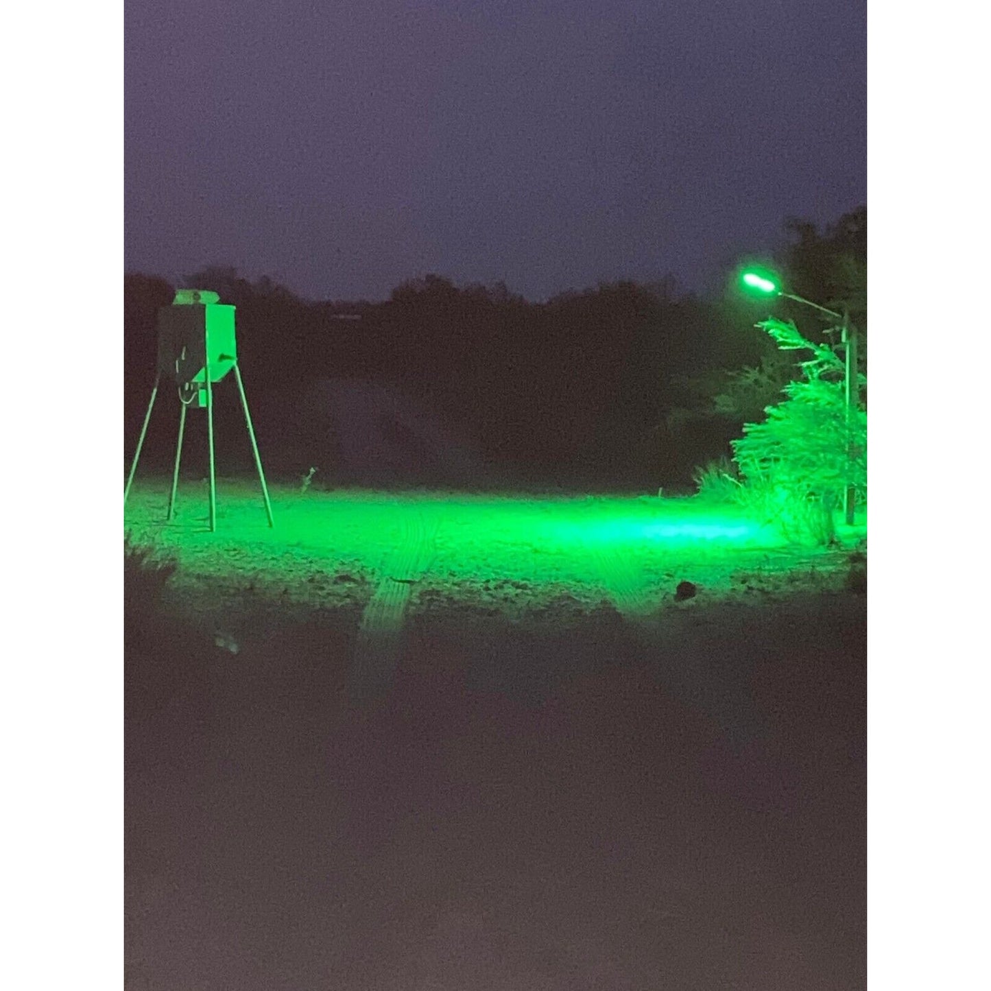 Hog Hunting Light Green Solar Light for Hunting Hogs on Feeders